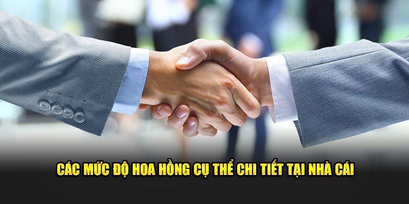 Các mức độ hoa hồng cụ thể chi tiết tại nhà cái 